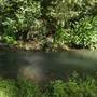 Millaa Millaa Falls