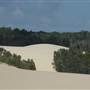 Mulgumpin (Moreton Island) - The Desert