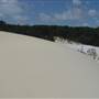 Mulgumpin (Moreton Island) - The Desert