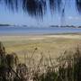 Mulgumpin (Moreton Island)