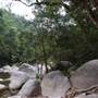 Mossman Gorge
