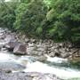 Mossman Gorge