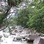 Mossman Gorge