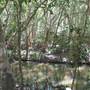 Mowbray Valley