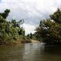 Mulgrave River (Cairns Region)