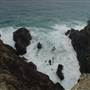 Noosa Cliffs