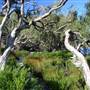 Minjeeribah (North Stradbroke Island) - Overview