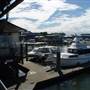 Noosa Harbour Marine Village