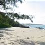 North Palm Cove to Ellis Beach