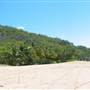 North Palm Cove to Ellis Beach