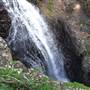 Purling Brook Falls - Springbrook National Park