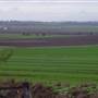Wheat Fields