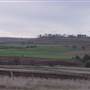 Wheat Fields