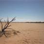 Quilpie Clay Pans