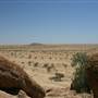 Rangelands Station