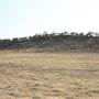 Rangelands Station