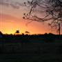 Rangelands Station