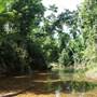 Mission Beach (Cairns Region FNQ)