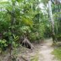 Mission Beach (Cairns Region FNQ)