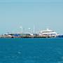 Hardy Reef (Reefworld Plantoon)