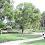 Gold Coast Regional Botanic Gardens - Rosser Park
