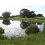 Gold Coast Regional Botanic Gardens - Rosser Park