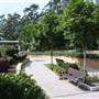 Gold Coast Regional Botanic Gardens - Rosser Park