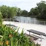 Gold Coast Regional Botanic Gardens - Rosser Park