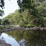 Silky Oaks Lodge - Mossman