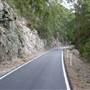 Springbrook National Park