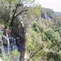 Springbrook National Park