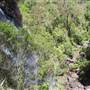 Springbrook National Park