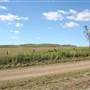 Rosevale - Picturesque Countryside