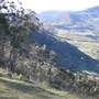 Table Top Mountain Bushland Reserve - Rangeville