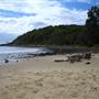 Noosa - Tea Tree Beach Area