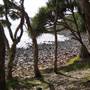 Noosa - Tea Tree Beach Area