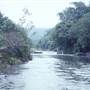 Tully River