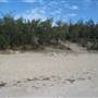 Woorim Beach - Bribie Island