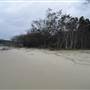 Minjeeribah (North Stradbroke Island) - Home Beach