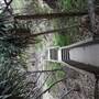 Gorge Walk, Point Lookout