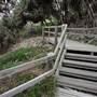 Gorge Walk, Point Lookout