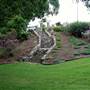 Queens Park, Upper Area