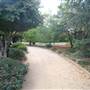 Japanese Garden - University of Southern Queensland