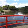 Japanese Garden - University of Southern Queensland