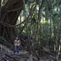 Tamborine National Park
