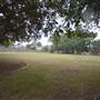 Junction Park State School