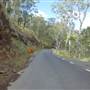 Winding Scenic Mountain Road - National Park