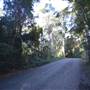 Winding Scenic Mountain Road - National Park