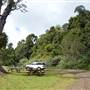 O'Reillys Rainforest Retreat