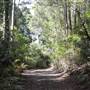 Moran Falls